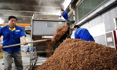 Trung Quốc nhập nông sản Brazil thay hàng Mỹ