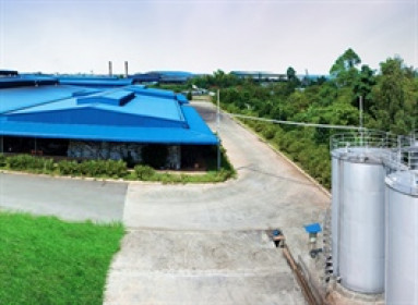 HOSE yêu cầu doanh nghiệp thuộc hệ sinh thái Sao Mai giải trình sau 5 phiên tăng trần