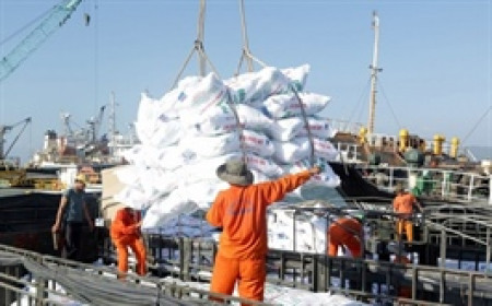 Công ty con DPM sắp chi cổ tức 10% bằng tiền