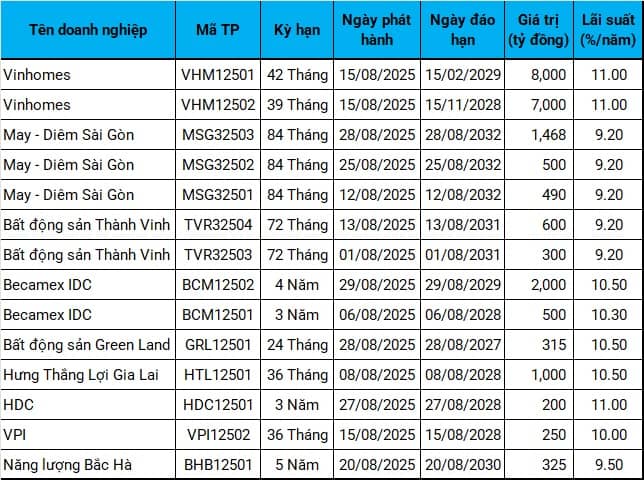 Trái phiếu riêng lẻ tháng 8: Công ty chứng khoán rục rịch trở lại