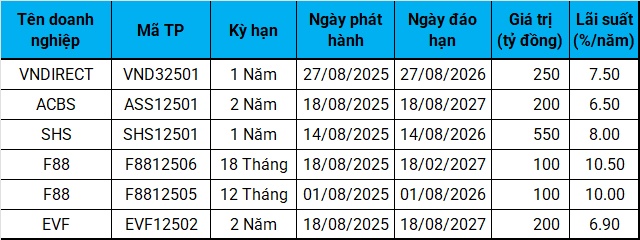 Trái phiếu riêng lẻ tháng 8: Công ty chứng khoán rục rịch trở lại