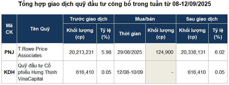 Giao dịch quỹ đầu tư rơi vào khoảng lặng