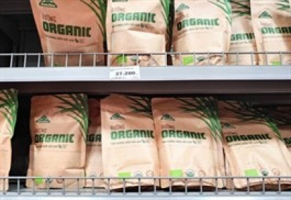 Hơn 2,100 nhân viên SBT được mua hàng chục triệu cổ phiếu ESOP chưa đến nửa thị giá