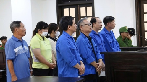 Cựu Giám đốc Trung tâm kỹ thuật tài nguyên môi trường cùng thuộc cấp lĩnh hơn 50 năm tù