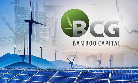 Bamboo Capital bị cảnh báo chậm nộp báo cáo tài chính