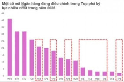 Cổ phiếu ngân hàng và khoảng lặng trước thềm đánh giá nâng hạng