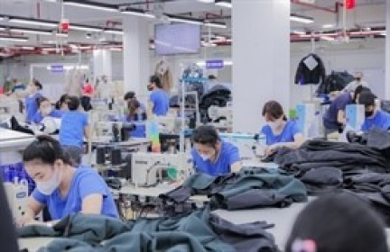 Gia đình Chủ tịch TNG hưởng lợi kép với đợt tạm ứng cổ tức và phát hành ESOP