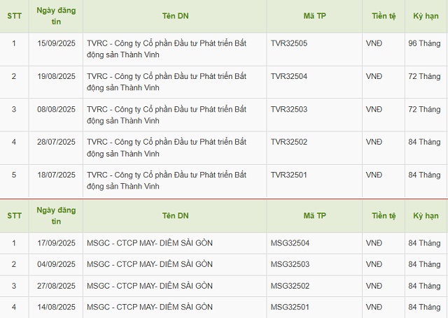 Hai công ty liên quan TNR Holdings Việt Nam huy động thêm 1.1 ngàn tỷ từ trái phiếu