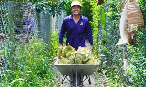 Xuất khẩu rau quả thu 1,3 tỷ USD một tháng