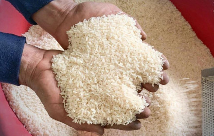 Thị trường gạo châu Á đối mặt xu hướng giảm giá mạnh