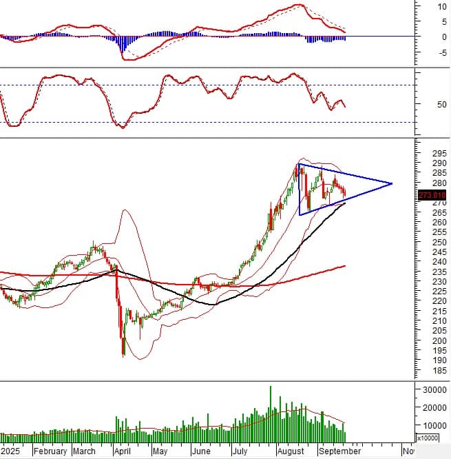 Vietstock Daily 24/09/2025: Thanh khoản dò đáy