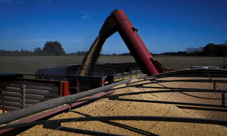 Trung Quốc mua đậu tương Argentina thay hàng Mỹ