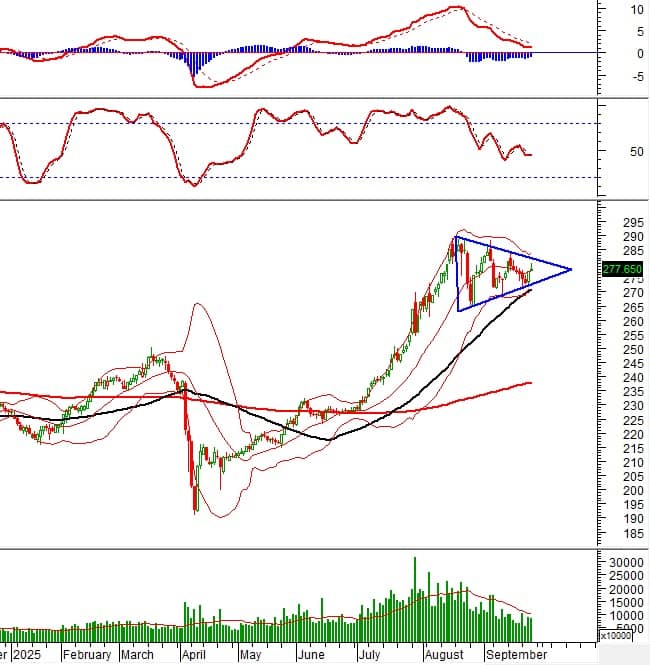 Vietstock Daily 26/09/2025: Phân hóa rõ nét?