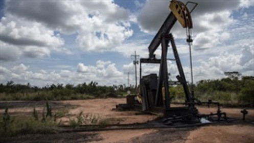 Giá dầu Brent lùi nhẹ về gần 69 USD/thùng