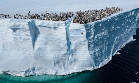 Giới phân tích phản ứng việc ông Trump gọi biến đổi khí hậu là 'trò lừa bịp'