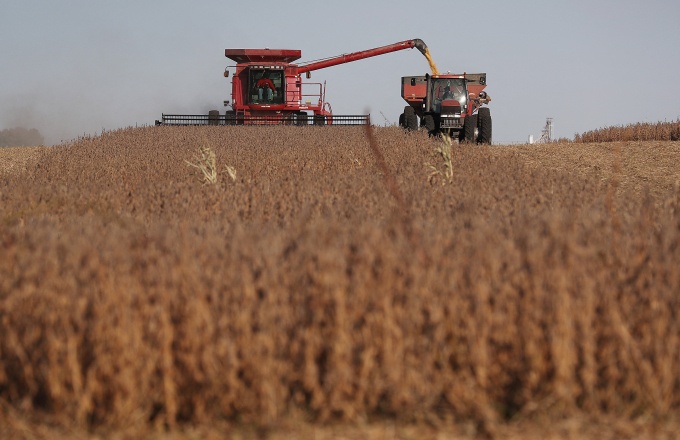 Nông dân Mỹ sốt ruột vì Trung Quốc dừng mua đậu nành