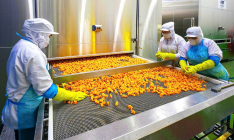 Xuất khẩu rau quả chế biến vượt tỷ USD