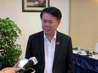 CEO HSG Vũ Văn Thanh: Thép Việt Nam cần hàng rào phòng vệ để không thua ngay trên sân nhà