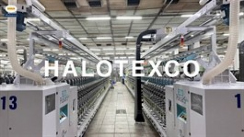 UBCKNN phạt Halotexco do không mời kiểm toán dự họp ĐHĐCĐ