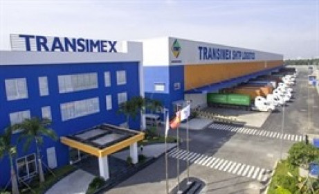 Transimex sắp chia cổ tức bằng tiền cao nhất 4 năm