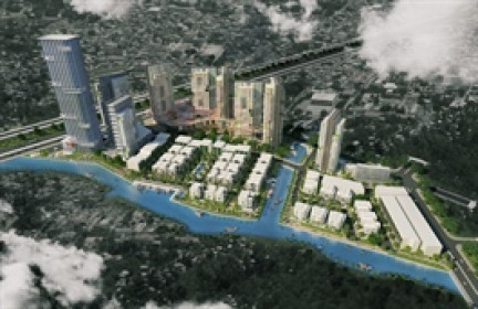 CEO Investco muốn gom hơn 20% vốn giữa lúc doanh nghiệp lỗ kỷ lục