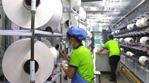 STK chốt quyền trả cổ tức bằng cổ phiếu tỷ lệ 45% giữa áp lực tài chính gia tăng