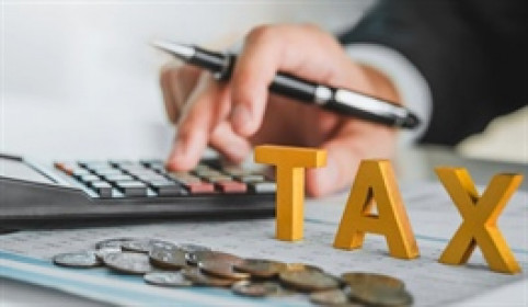 Ba doanh nghiệp niêm yết cùng bị phạt thuế, REE và SCI bị truy thu hàng tỷ