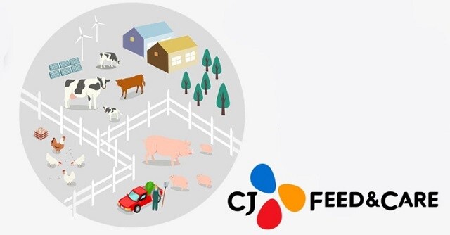 CJ CheilJedang muốn thoái vốn công ty thức ăn chăn nuôi top đầu châu Á