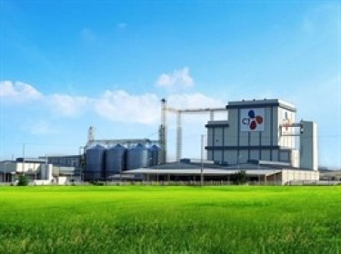CJ CheilJedang muốn thoái vốn công ty thức ăn chăn nuôi top đầu châu Á