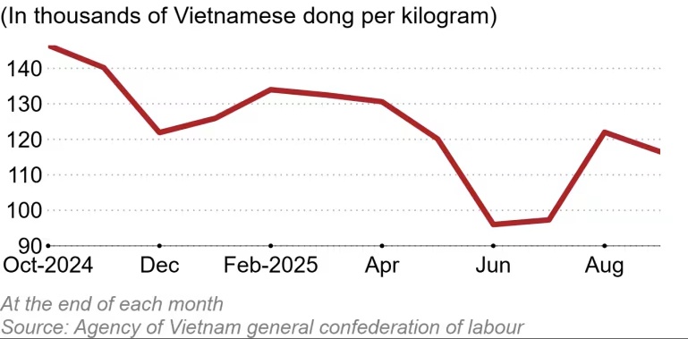 "Mùa bội thu" của người trồng cà phê Việt: Giá tăng, xuất khẩu vọt 61%