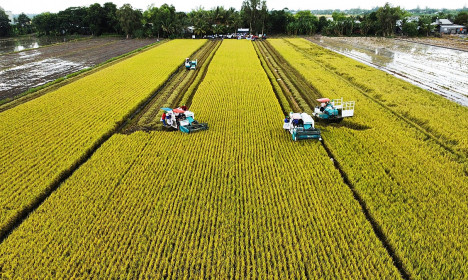 Đề xuất cá nhân, hộ kinh doanh được giảm 2% lãi suất khi vay vốn xanh