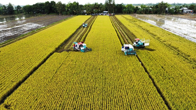 Đề xuất cá nhân, hộ kinh doanh được giảm 2% lãi suất khi vay vốn xanh
