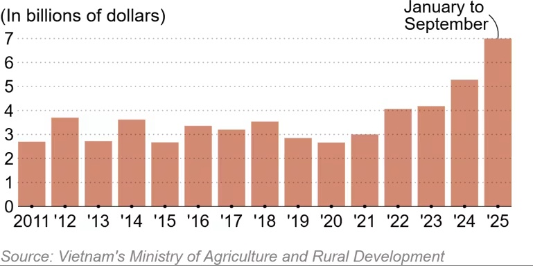 "Mùa bội thu" của người trồng cà phê Việt: Giá tăng, xuất khẩu vọt 61%