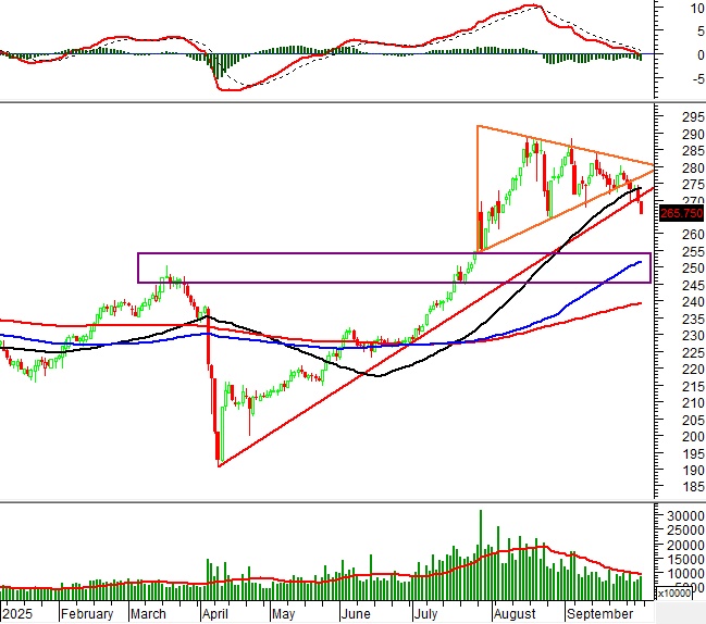 Phân tích kỹ thuật chứng khoán Việt Nam: Tuần 06-10/10/2025