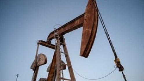 Dầu giảm gần 2% sau thoả thuận ngừng bắn giữa Israel và Hamas