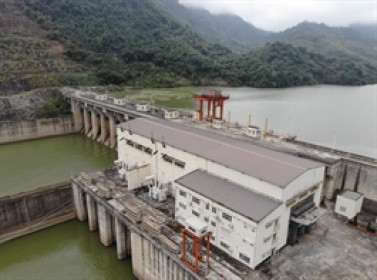 VPD nâng mục tiêu lợi nhuận 2025 thêm 59%