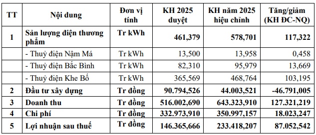 VPD nâng mục tiêu lợi nhuận 2025 thêm 59%
