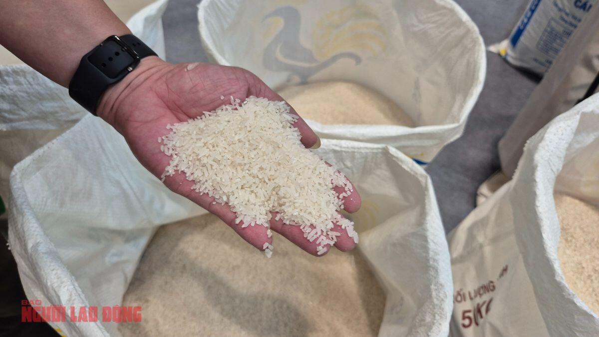 Philippines ngưng nhập khẩu gạo đến hết năm 2025 ảnh hưởng đến giá gạo thế giới