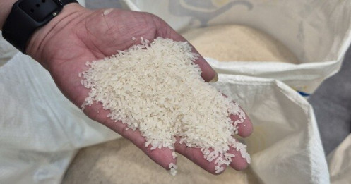 Philippines ngưng nhập khẩu gạo đến hết năm 2025 ảnh hưởng đến giá gạo thế giới