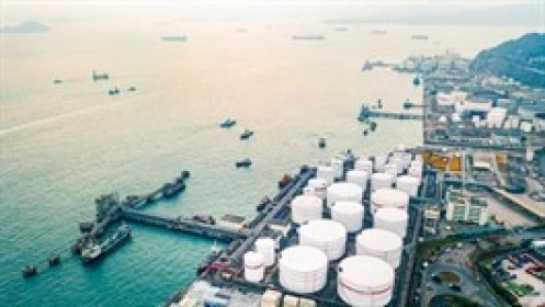 Dầu khởi sắc từ mức đáy 5 tháng