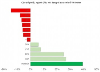 Thị trường thăng hoa, cổ phiếu dầu khí đang ở đâu?