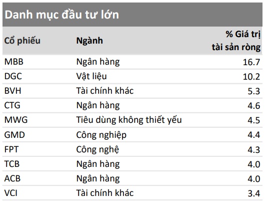 Không nắm cổ phiếu VIC, hiệu quả đầu tư Quỹ VESAF bị thị trường bỏ xa