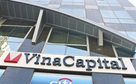 Không nắm cổ phiếu VIC, hiệu quả đầu tư Quỹ VESAF bị thị trường bỏ xa