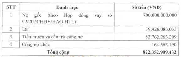 HAG hoán đổi 300 tỷ đồng nợ thành vốn góp tại công ty con