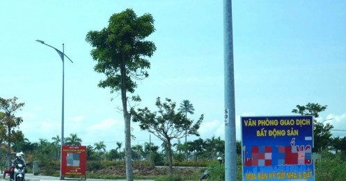 Sau yêu cầu chấn chỉnh, thao túng giá, Đà Nẵng công bố 9 công ty môi giới BĐS