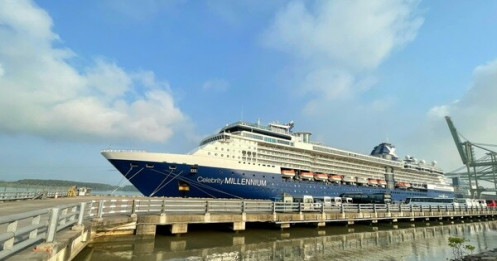 Doanh nghiệp "ngồi trên lửa" khi cảng ở TP HCM ngưng đón khách du lịch tàu biển