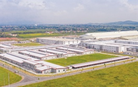 VRG lãi trở lại trong quý 3 nhờ hợp đồng thuê đất mới