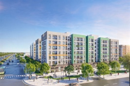 Vingroup công bố triển khai 61,000 căn nhà ở xã hội tại 7 tỉnh, thành