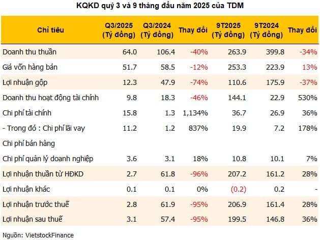TDM báo lãi quý thấp kỷ lục, chi phí tài chính tăng hơn 1,100%
