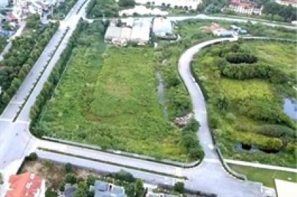 Hà Nội giao lô đất xây biệt thự tại Hoài Đức cho doanh nghiệp trúng giá